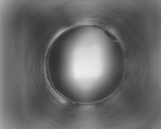 X0000065951187200603061116