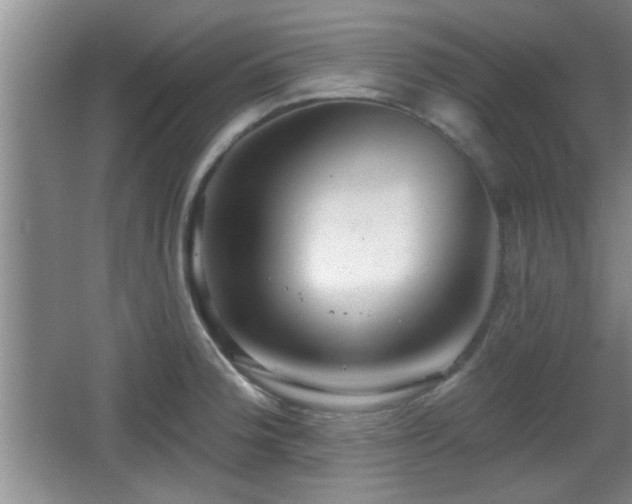 X0000065951188200603061116