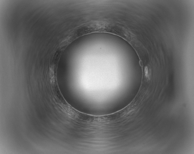 X0000065951203200603061115