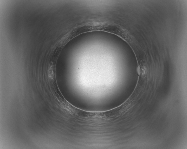 X0000065951204200603061115
