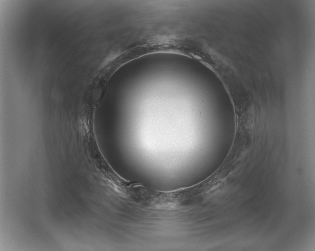 X0000065951206200603061115