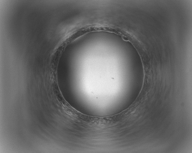 X0000065951207200603061115