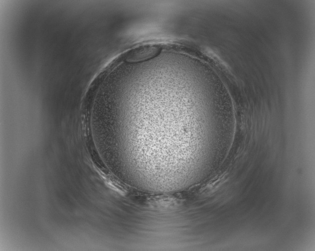 X0000065951208200603061115
