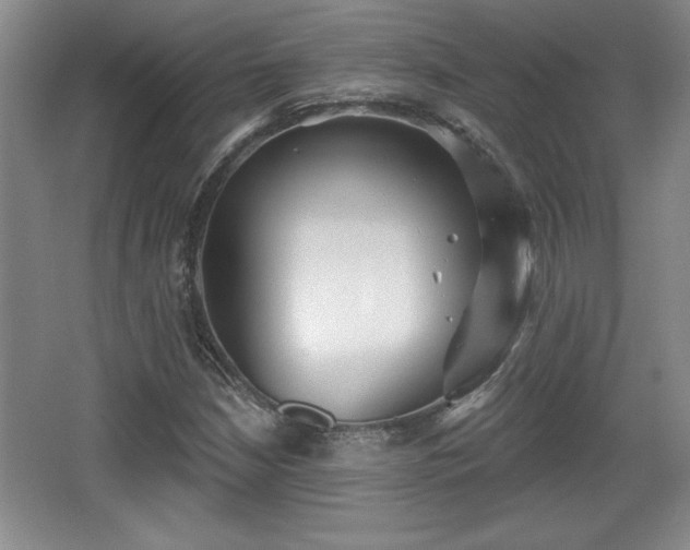 X0000065951210200603061115