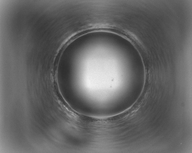 X0000065951212200603061115