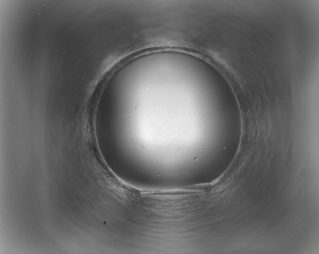 X0000065951215200603061116