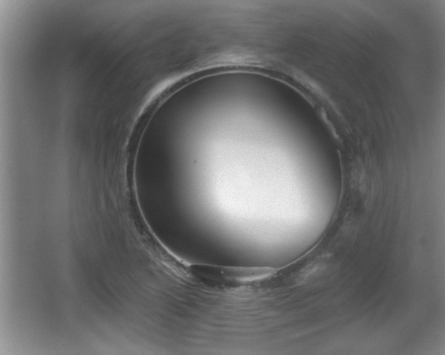 X0000065951222200603061116