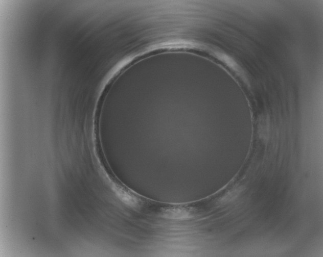 X0000065951229200603061116