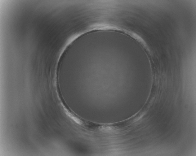 X0000065951231200603061116