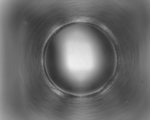 X0000065951232200603061116