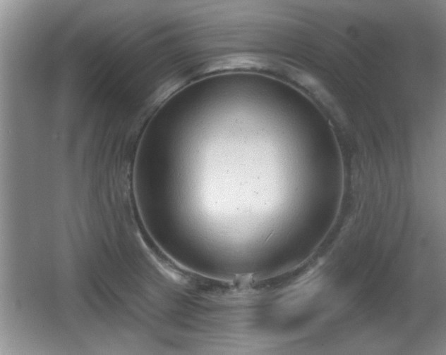 X0000065951233200603061116