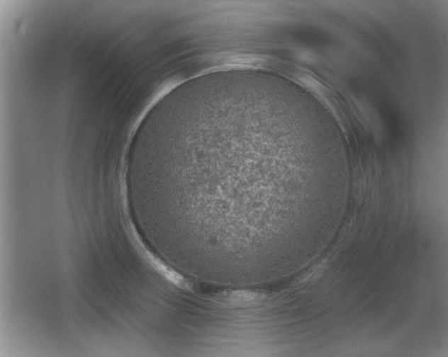 X0000065951235200603061116