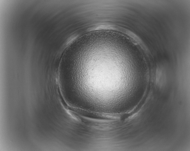 X0000065951241200603061116