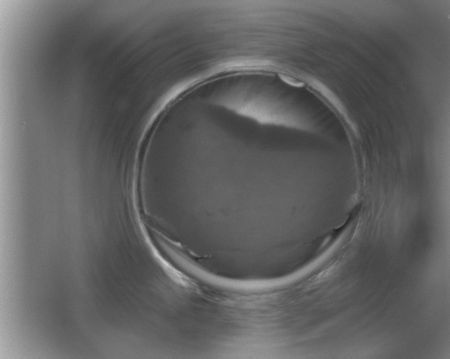 X0000065951245200603061116