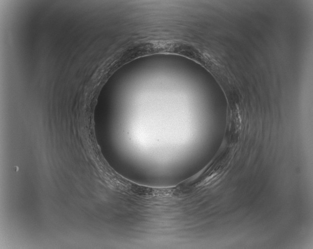 X0000065951249200603061115