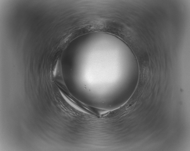 X0000065951250200603061115