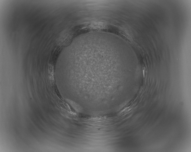 X0000065951251200603061115