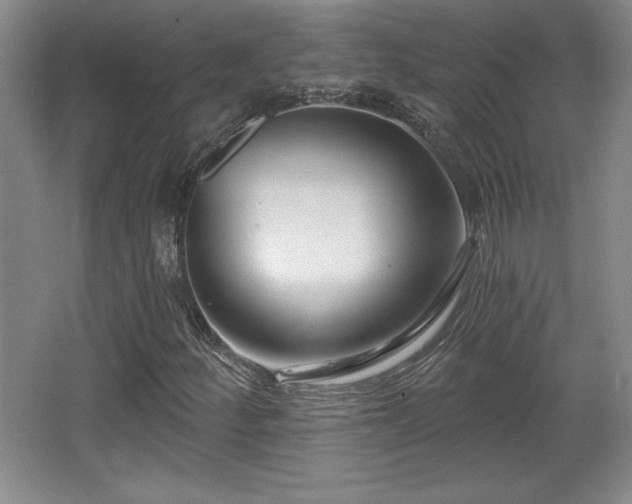 X0000065951252200603061115