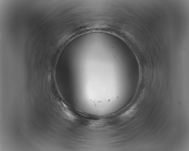 X0000065951257200603061115