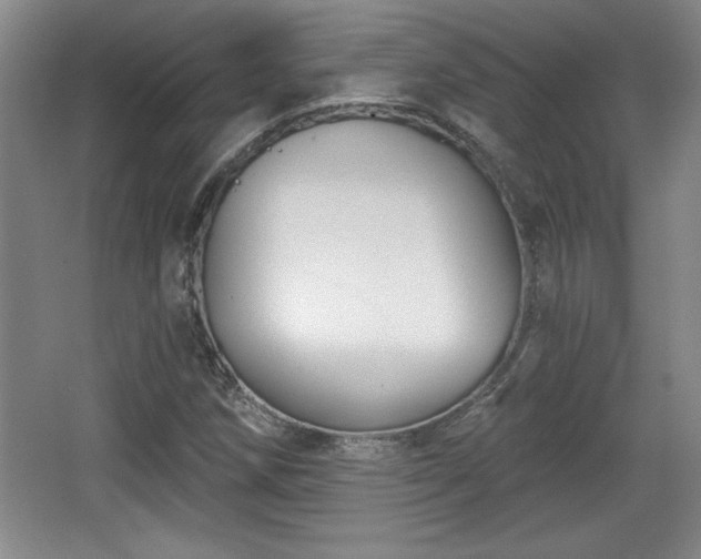 X0000065951258200603061115