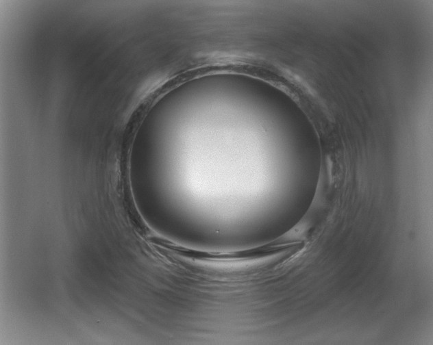 X0000065951261200603061115