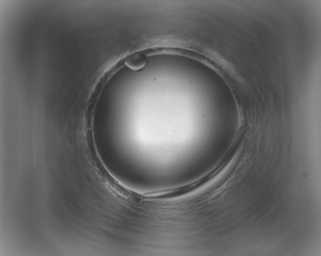 X0000065951264200603061115
