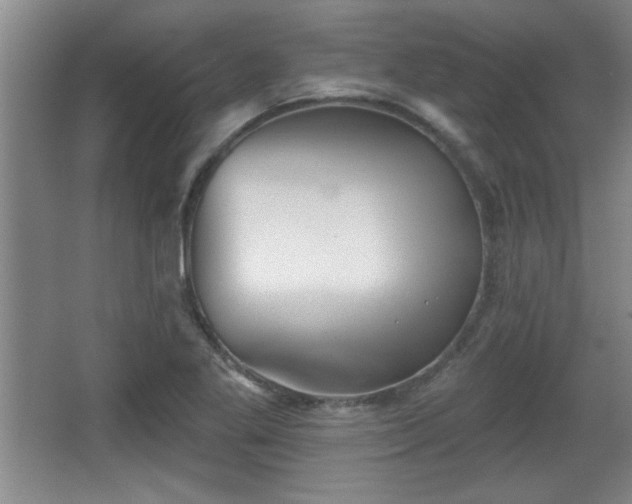 X0000065951269200603061115