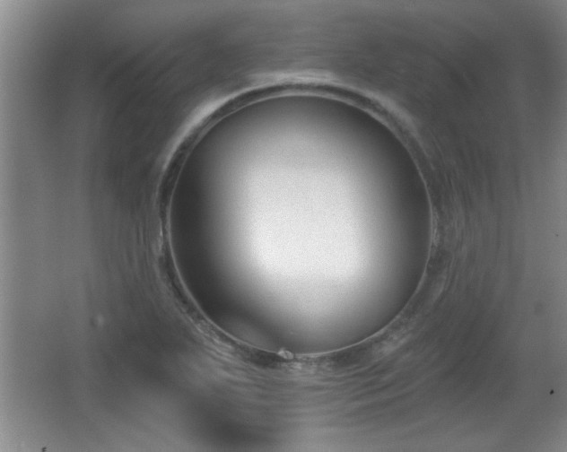 X0000065951271200603061115