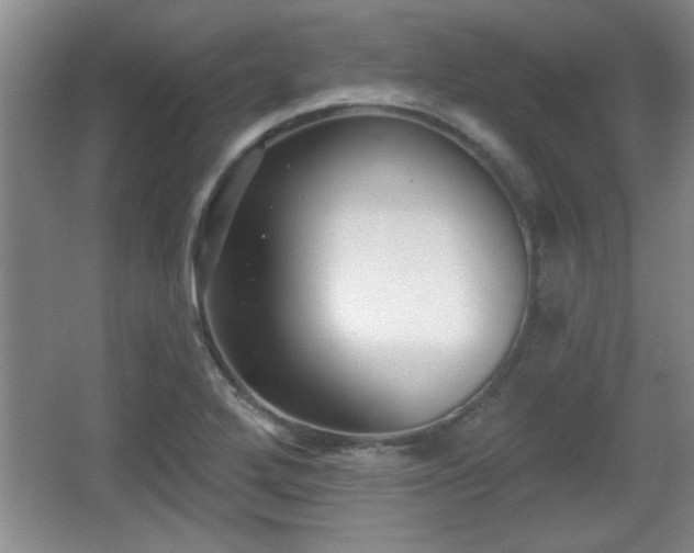 X0000065951272200603061115