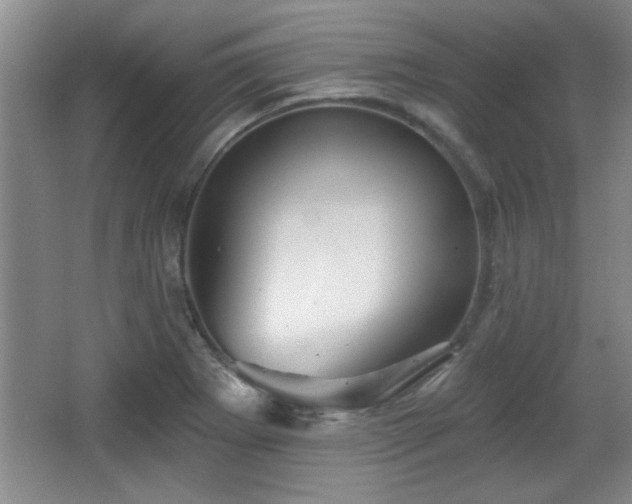 X0000065951273200603061115