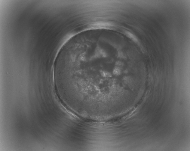 X0000065951275200603061115