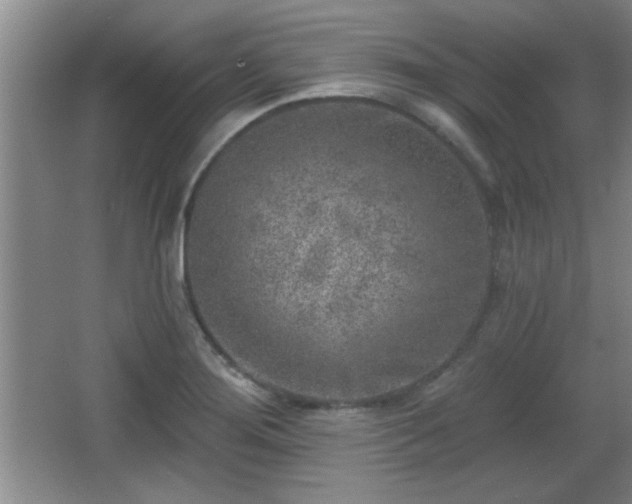 X0000065951276200603061115
