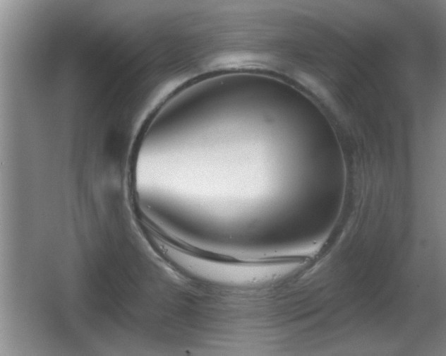 X0000065951277200603061115