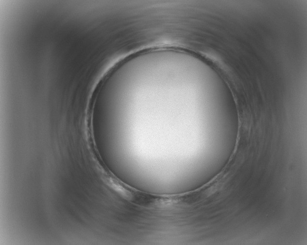 X0000065951278200603061115