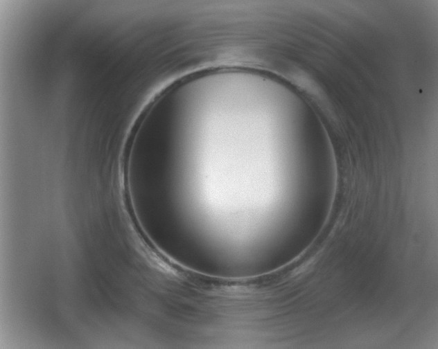X0000065951280200603061115