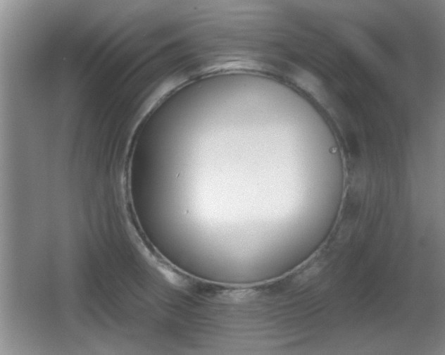 X0000065951282200603061115