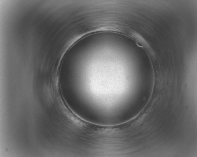 X0000065951284200603061115