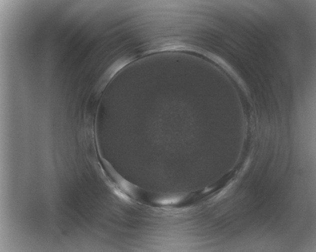 X0000065951289200603061115
