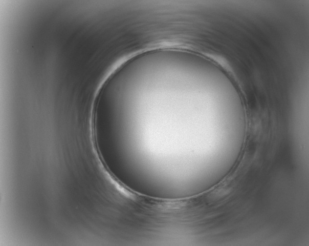X0000065951294200603061114