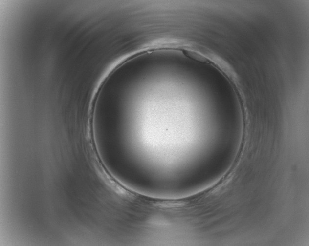 X0000065951296200603061114