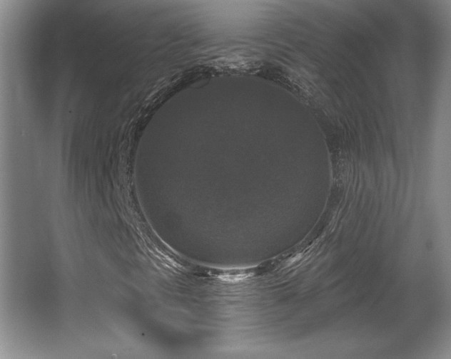 X0000065951297200603061114