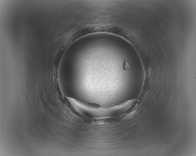 X0000065951300200603061114