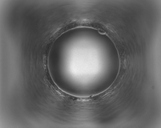 X0000065951301200603061114