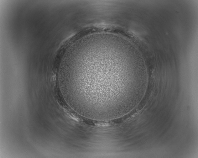 X0000065951302200603061114