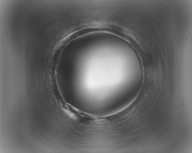 X0000065951304200603061114