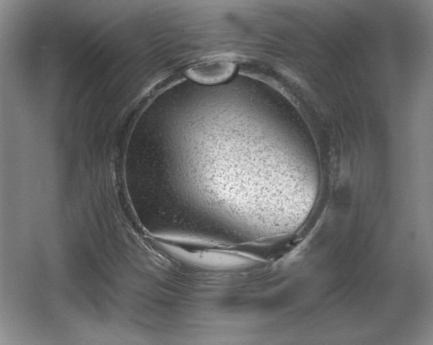 X0000065951305200603061114
