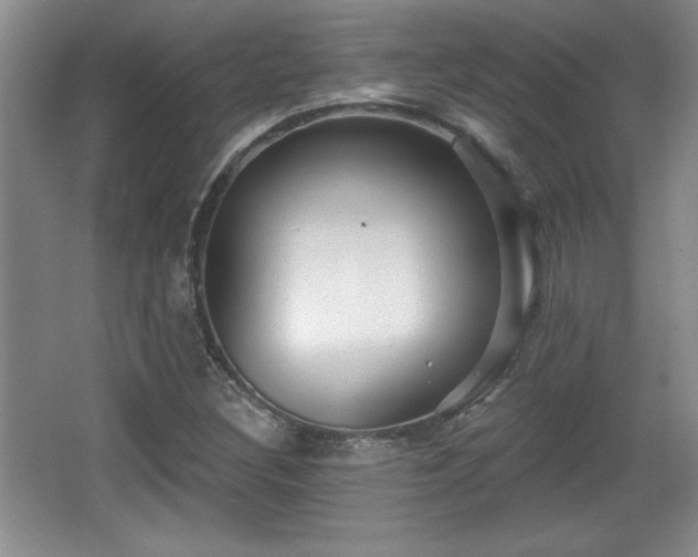 X0000065951308200603061114