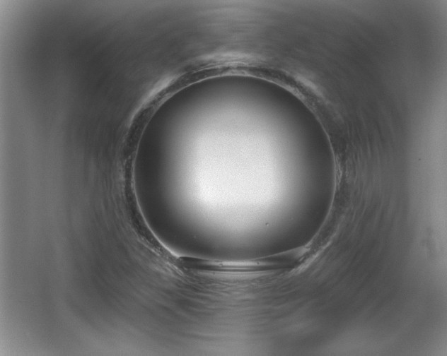 X0000065951309200603061114