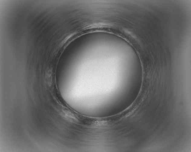 X0000065951313200603061114
