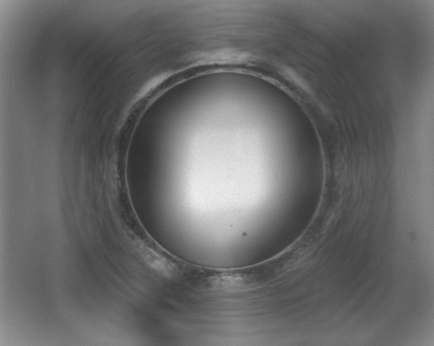 X0000065951315200603061114